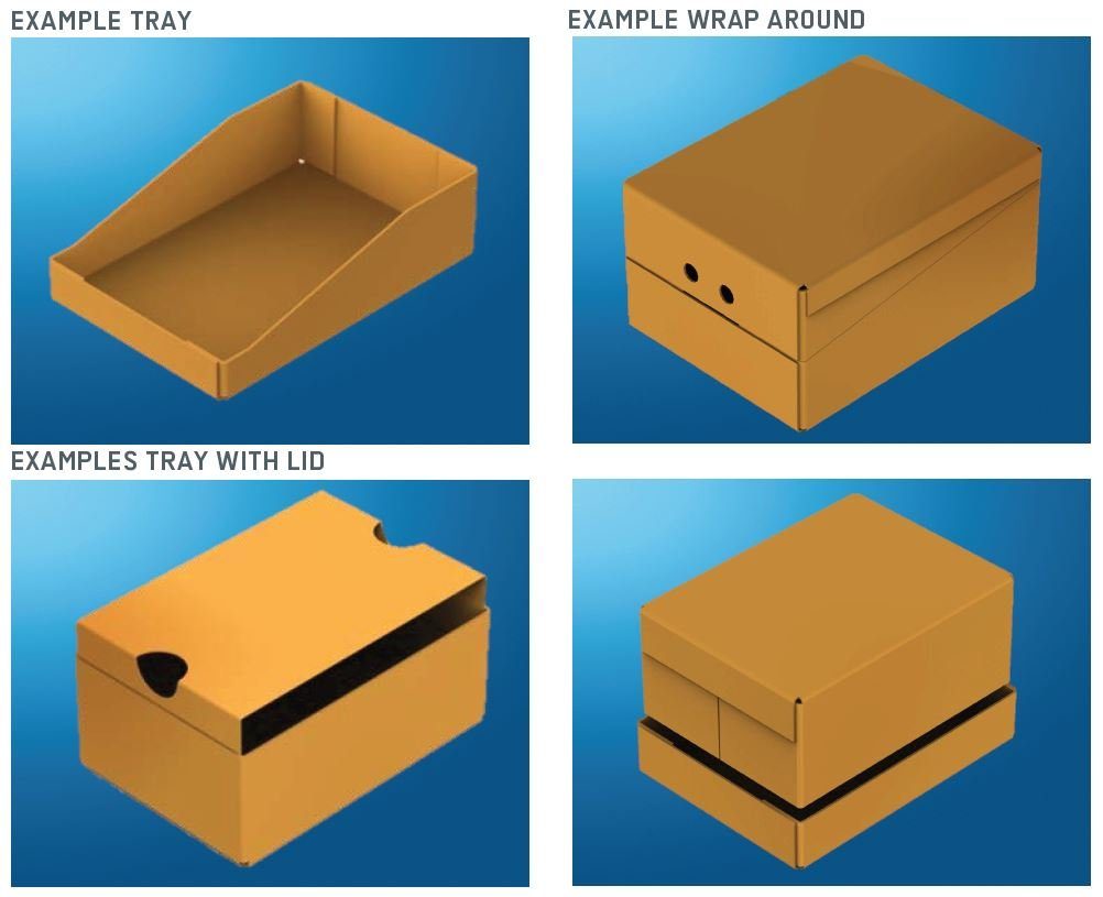 How To Choose The Right Wrap-Around Case Packer